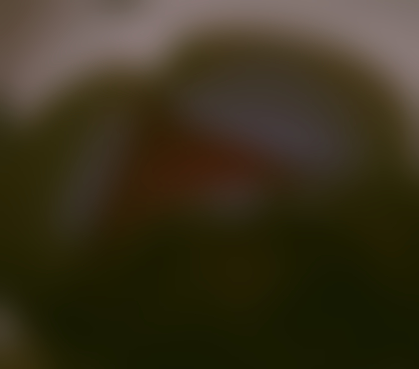 Escorts Merseyside Liverpool -
